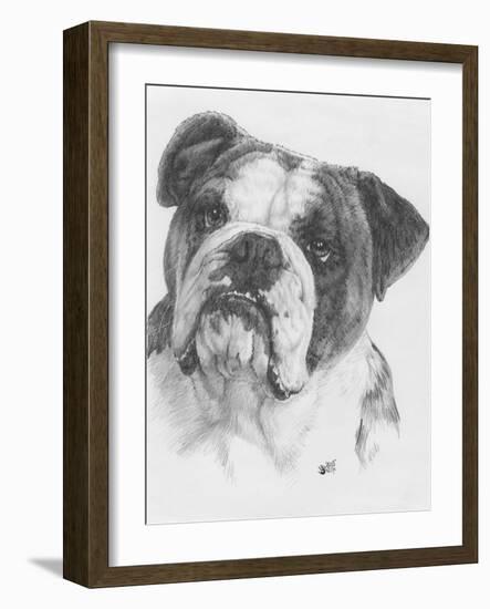 American Bulldog-Barbara Keith-Framed Giclee Print