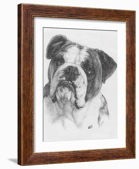 American Bulldog-Barbara Keith-Framed Giclee Print