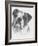 American Bulldog-Barbara Keith-Framed Giclee Print