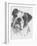 American Bulldog-Barbara Keith-Framed Giclee Print