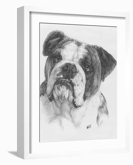 American Bulldog-Barbara Keith-Framed Giclee Print