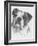 American Bulldog-Barbara Keith-Framed Giclee Print