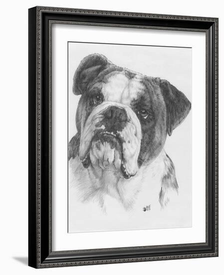 American Bulldog-Barbara Keith-Framed Giclee Print