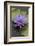 American Bullfrog (Lithobates Catesbeianus) Next to Water Lily Flower, Washington Dc, USA, July-John Cancalosi-Framed Photographic Print