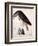 American Buzzard or White Breasted Hawk-John James Audubon-Framed Giclee Print