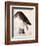 American Buzzard or White Breasted Hawk-John James Audubon-Framed Giclee Print