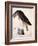 American Buzzard or White Breasted Hawk-John James Audubon-Framed Giclee Print