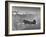 American C-46 Transport Flying "The Hump" a Long, Difficult Flight over the Himalayas-William Vandivert-Framed Photographic Print