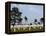 American Cemetery at Omaha Beach, Colleville-Sur-Mer, Normandy, France, Europe-null-Framed Premier Image Canvas