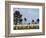 American Cemetery at Omaha Beach, Colleville-Sur-Mer, Normandy, France, Europe-null-Framed Photographic Print