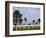 American Cemetery at Omaha Beach, Colleville-Sur-Mer, Normandy, France, Europe-null-Framed Photographic Print