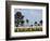American Cemetery at Omaha Beach, Colleville-Sur-Mer, Normandy, France, Europe-null-Framed Photographic Print