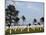 American Cemetery at Omaha Beach, Colleville-Sur-Mer, Normandy, France, Europe-null-Mounted Photographic Print