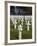 American Cemetery at Omaha Beach, Colleville-Sur-Mer, Normandy, France, Europe-null-Framed Photographic Print