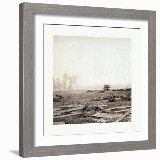 American Civil War: View on Battle Field of Antietam Where Sumner's Corps Charged the Enemy. Scene-null-Framed Giclee Print