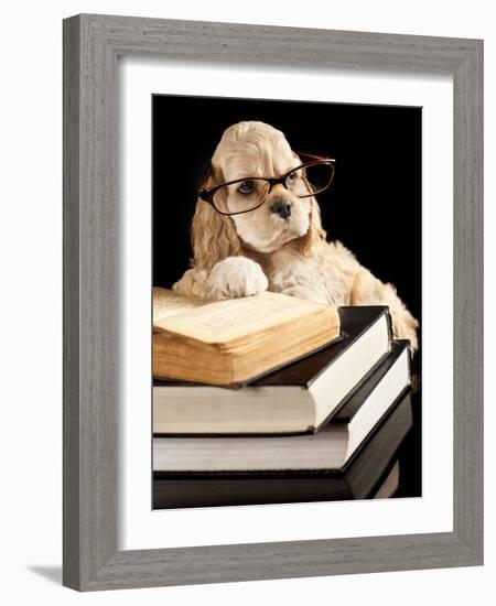American Cocker Spaniel Wearing Reading Glasses-Lilun-Framed Photographic Print