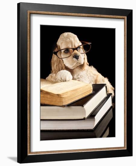 American Cocker Spaniel Wearing Reading Glasses-Lilun-Framed Photographic Print