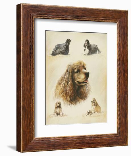 American Cocker-Libero Patrignani-Framed Art Print