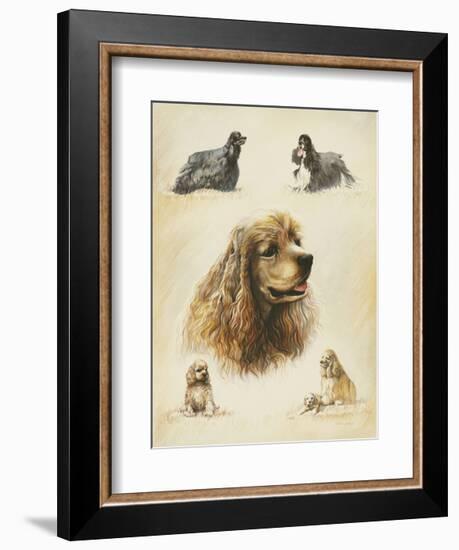 American Cocker-Libero Patrignani-Framed Art Print