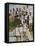 American Contestants Pose and Smile at the Side of the Swimming Pool-null-Framed Premier Image Canvas