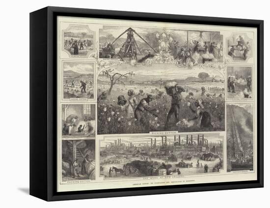 American Cotton, its Cultivation and Preparation in Mississippi-null-Framed Premier Image Canvas