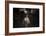 American Cowgirl-Lisa Dearing-Framed Photographic Print