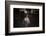 American Cowgirl-Lisa Dearing-Framed Photographic Print