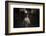 American Cowgirl-Lisa Dearing-Framed Photographic Print