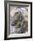 American Crayfish, Two, Gravel-Harald Kroiss-Framed Photographic Print