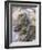 American Crayfish, Two, Gravel-Harald Kroiss-Framed Photographic Print