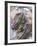 American Crayfish, Two, Gravel-Harald Kroiss-Framed Photographic Print