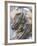 American Crayfish, Two, Gravel-Harald Kroiss-Framed Photographic Print