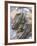 American Crayfish, Two, Gravel-Harald Kroiss-Framed Photographic Print