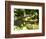 American Crocodile (Crocodylus Acutus) Costa Rica-Andres Morya Hinojosa-Framed Photographic Print