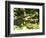 American Crocodile (Crocodylus Acutus) Costa Rica-Andres Morya Hinojosa-Framed Photographic Print