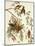 American Crossbill-John James Audubon-Mounted Art Print