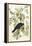 American Crow, 1833-John James Audubon-Framed Premier Image Canvas