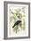 American Crow, 1833-John James Audubon-Framed Giclee Print