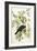 American Crow, 1833-John James Audubon-Framed Giclee Print