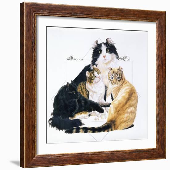 American Curl-Barbara Keith-Framed Giclee Print