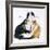 American Curl-Barbara Keith-Framed Giclee Print