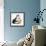 American Curl-Barbara Keith-Framed Giclee Print displayed on a wall