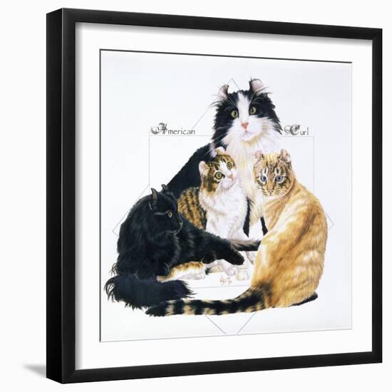 American Curl-Barbara Keith-Framed Giclee Print