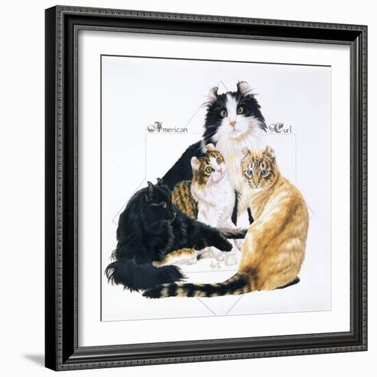 American Curl-Barbara Keith-Framed Giclee Print