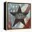 American Dreams VII-Ken Hurd-Framed Stretched Canvas