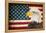 American Eagle 2-Kimberly Allen-Framed Stretched Canvas