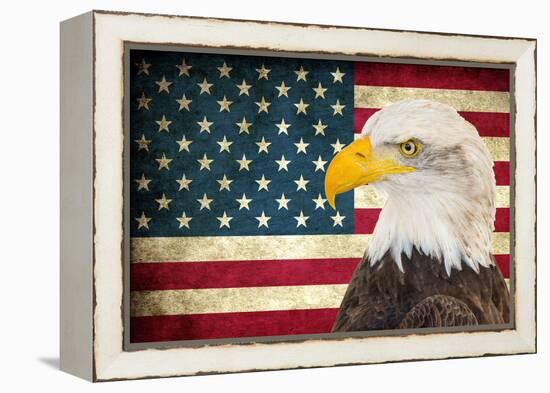 American Eagle 2-Kimberly Allen-Framed Stretched Canvas