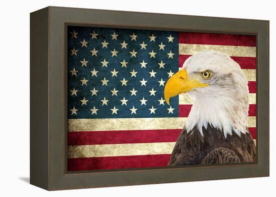 American Eagle 2-Kimberly Allen-Framed Stretched Canvas