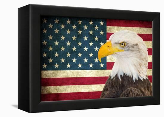 American Eagle 2-Kimberly Allen-Framed Stretched Canvas