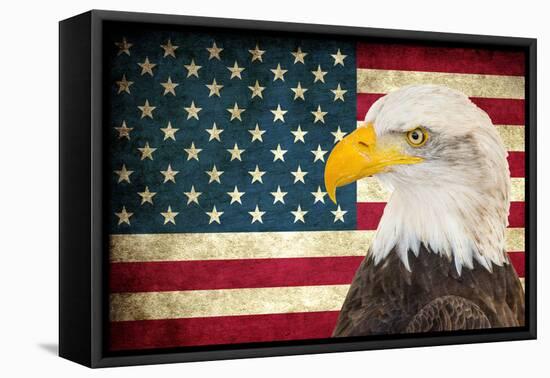 American Eagle 2-Kimberly Allen-Framed Stretched Canvas